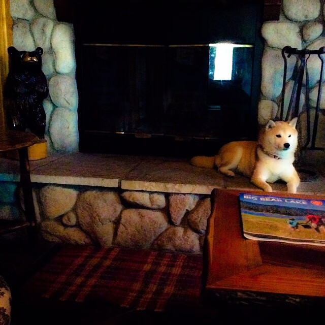 中国男篮积极备战国际赛事,中国男篮备战情况