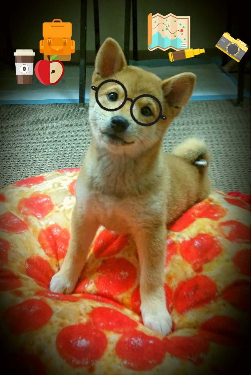 美选手更重起跳节奏，中方注重转身连接