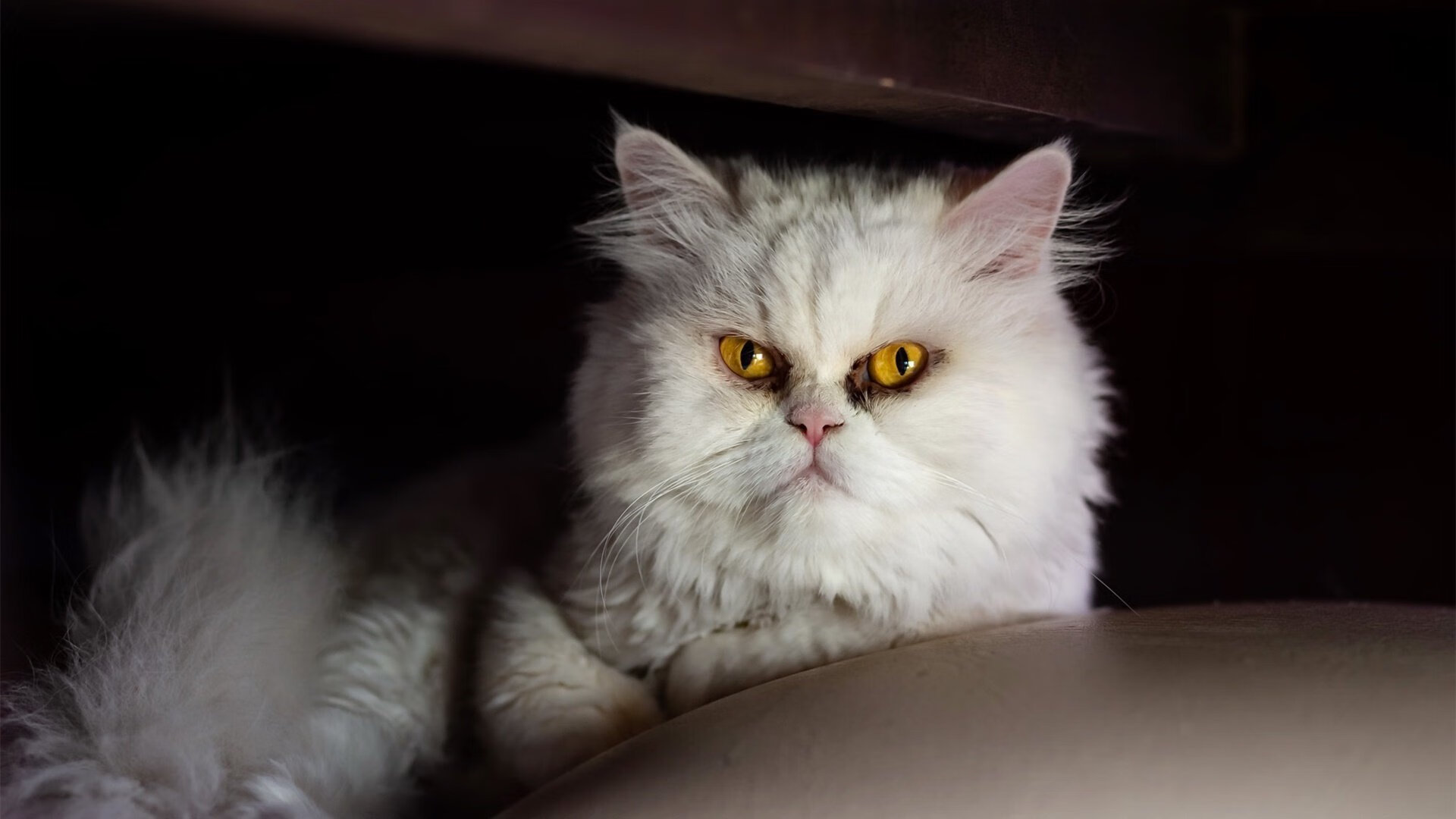 防守轮转换位效率联盟排名