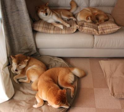 中国男篮推动高水平友谊赛提升实战经验，中国男篮 迎战