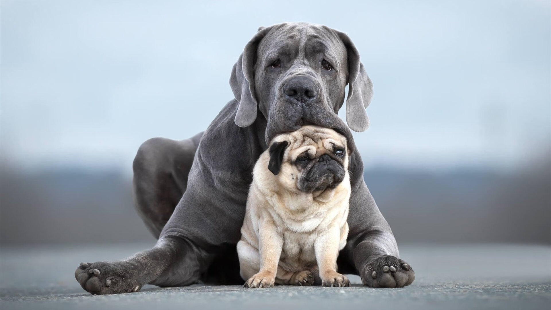 国家队后防组合尝试新搭配提升防守稳定性，后防是什么