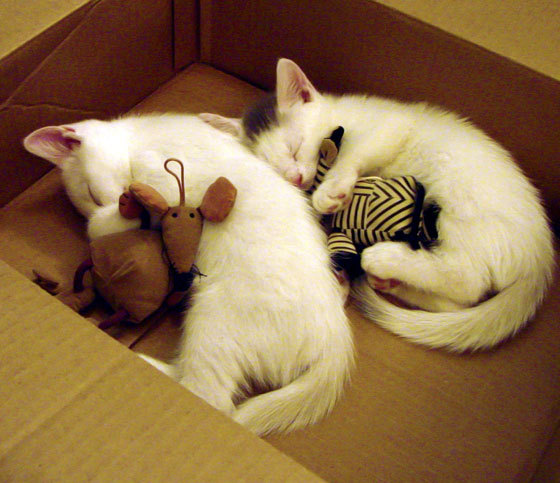 意甲非凡时刻：突破防线考虑完美一击，意甲防守反击